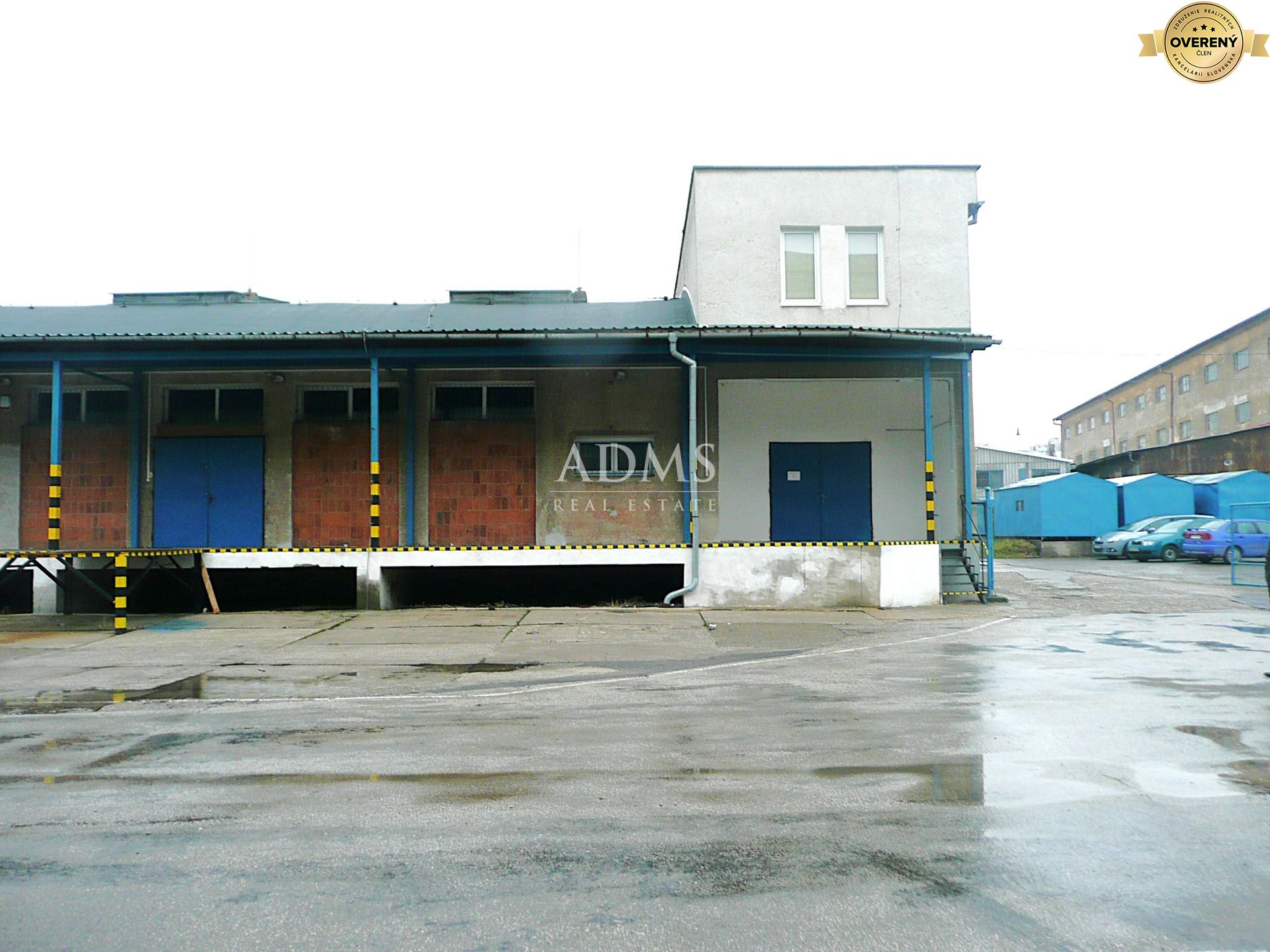 P1100961.JPG