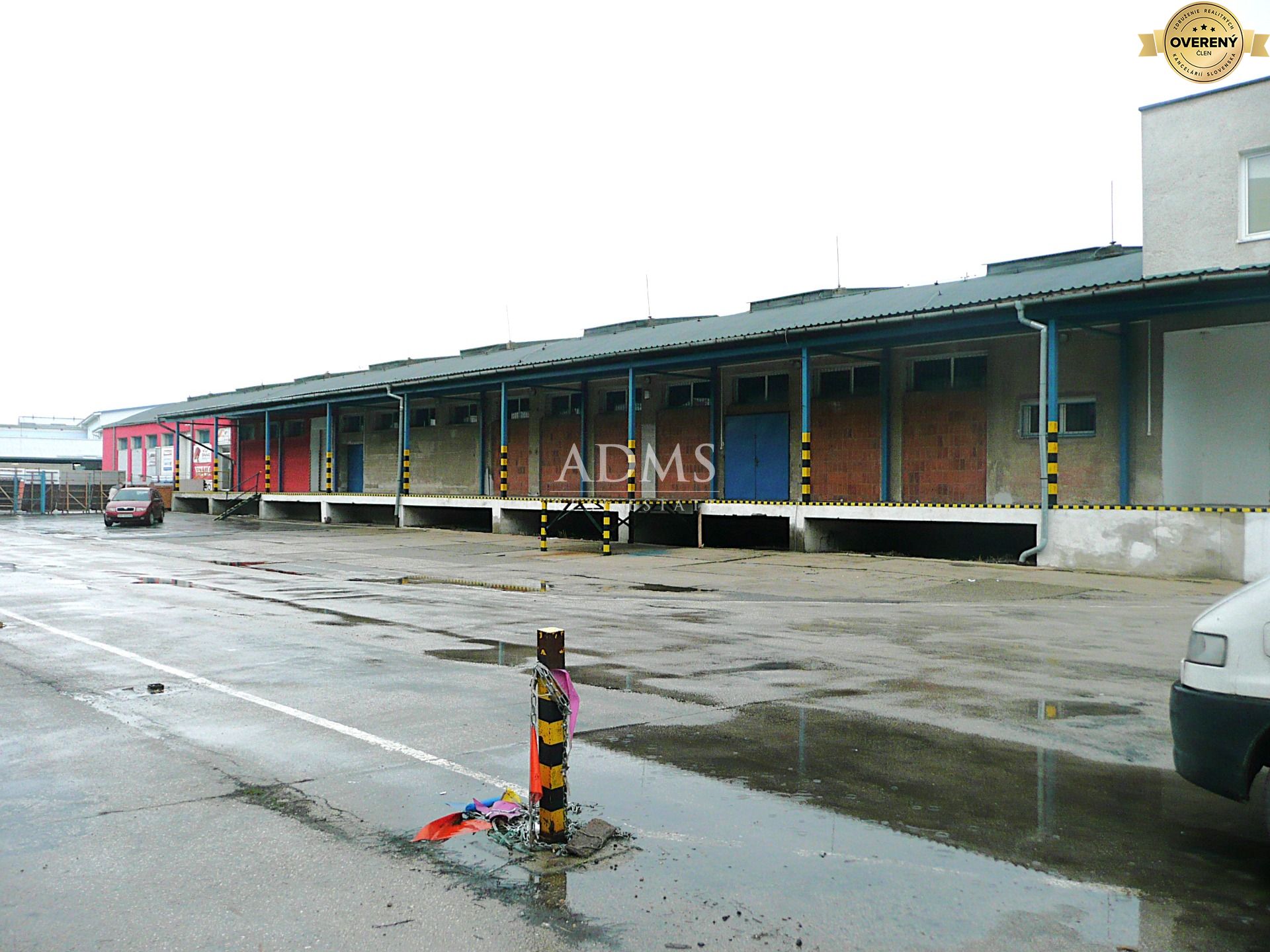 P1100963I.JPG