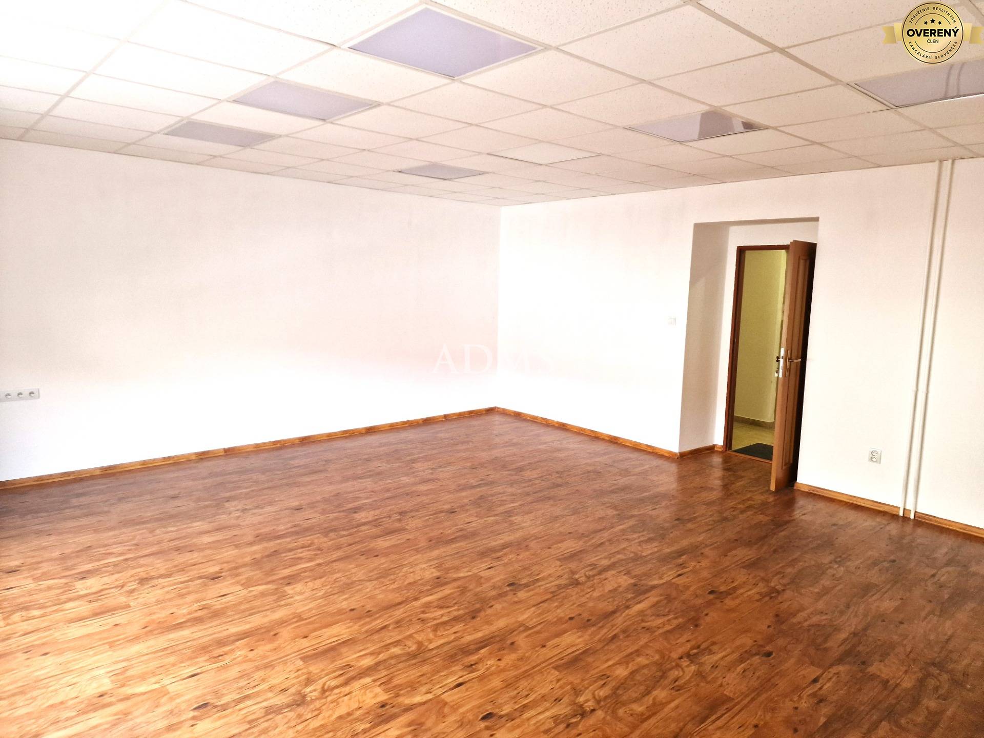 20250325_091545 I.jpg