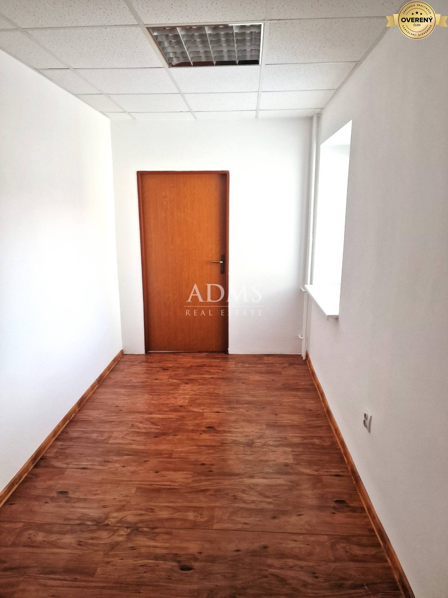 20250325_091633 I.jpg