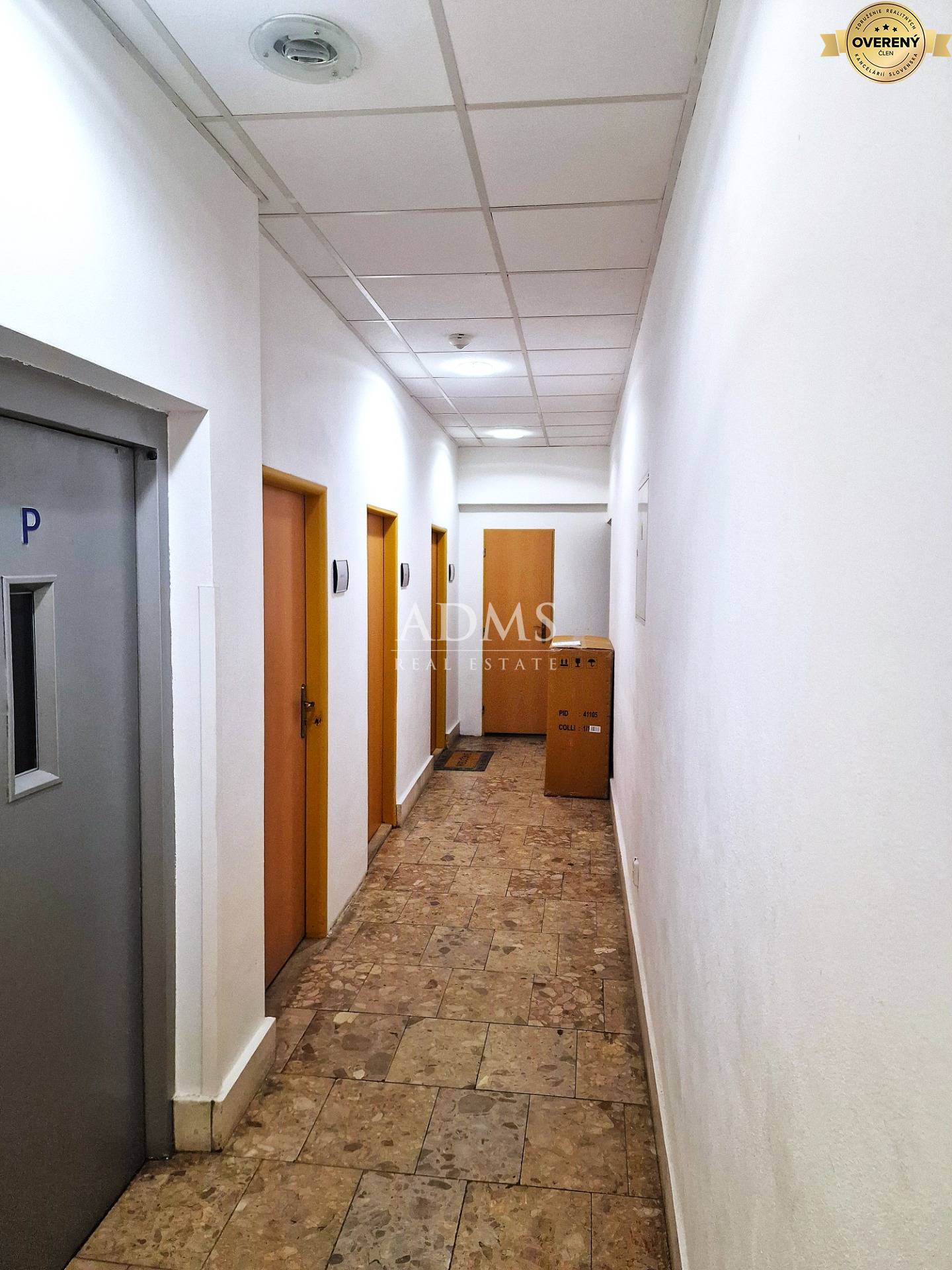 20250325_091242 I.jpg