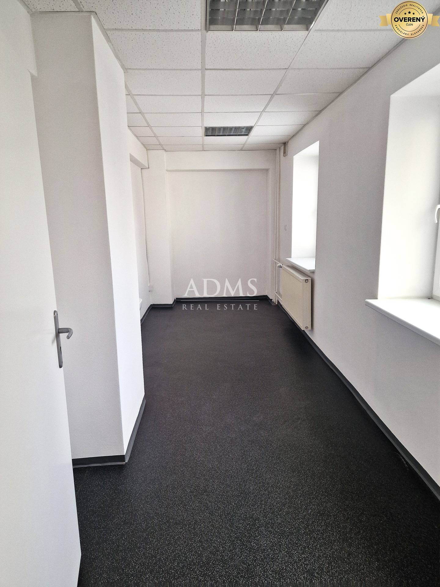 20250325_091715 I.jpg