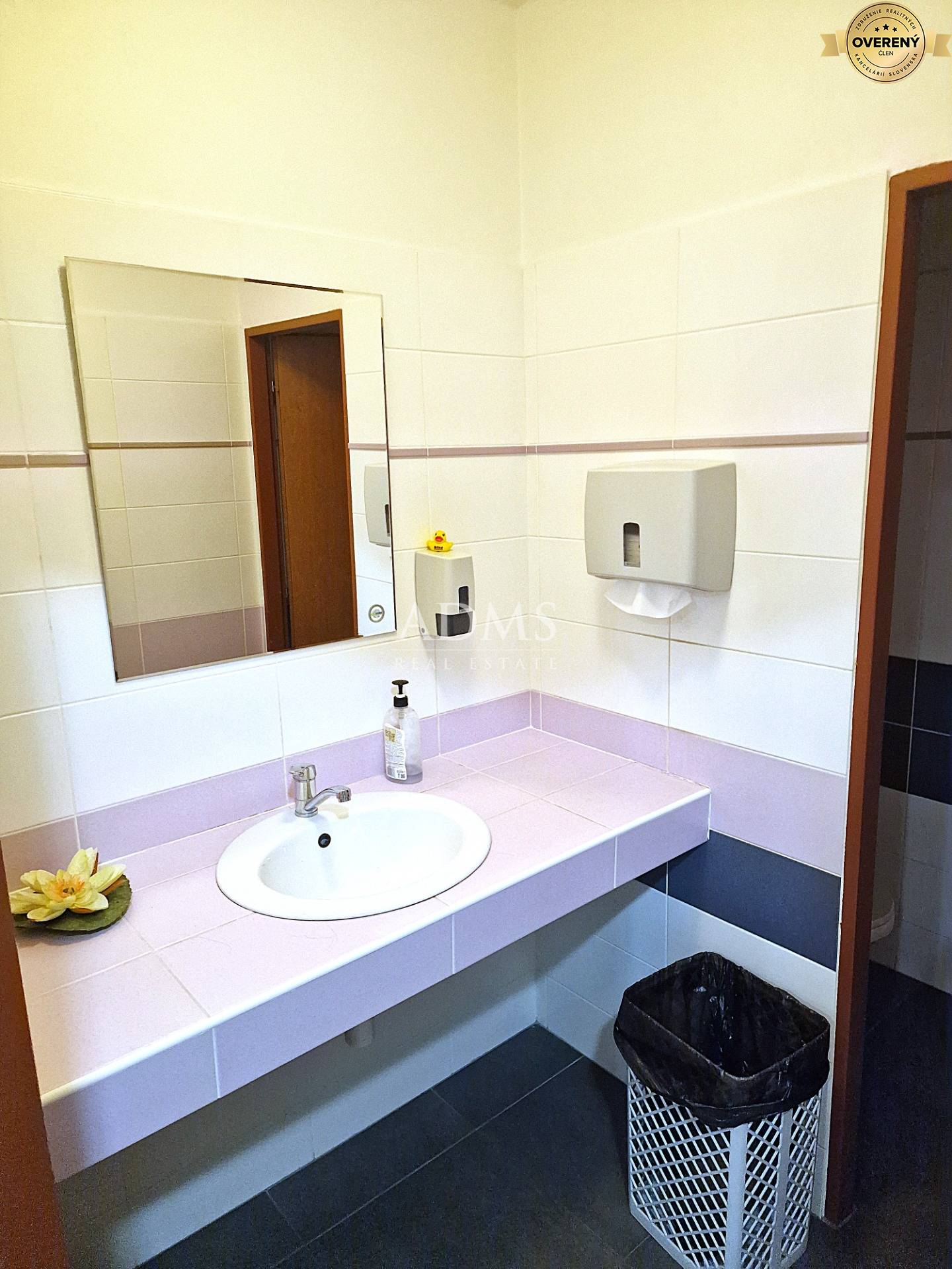 20250325_091816 I.jpg