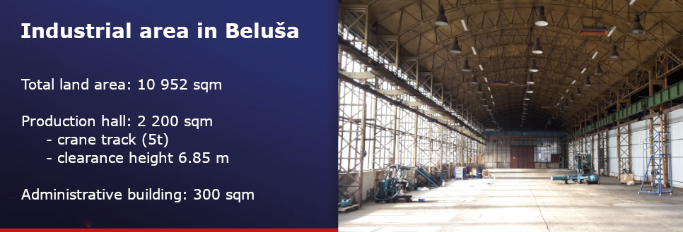 Beluša